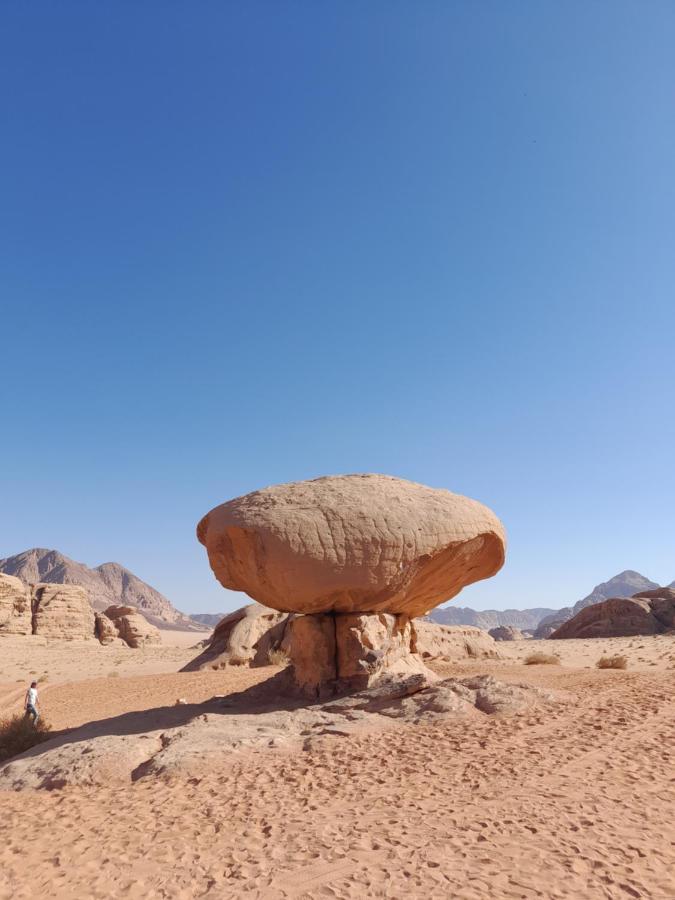 Wadi Rum Camels Camp Екстер'єр фото