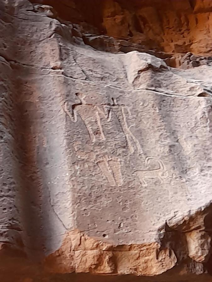 Wadi Rum Camels Camp Екстер'єр фото