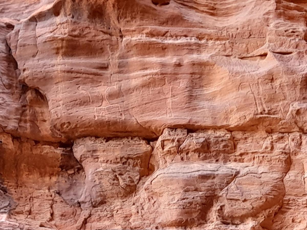 Wadi Rum Camels Camp Екстер'єр фото